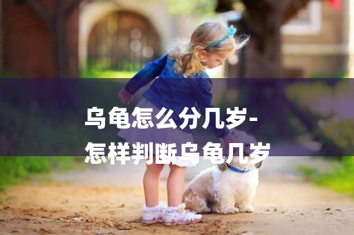烏龜怎么分幾歲-
怎樣判斷烏龜幾歲