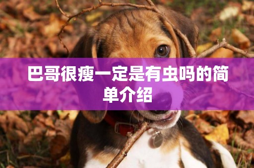 巴哥很瘦一定是有蟲嗎的簡單介紹