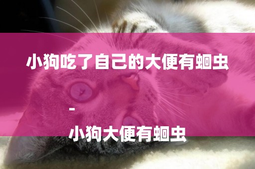 小狗吃了自己的大便有蛔蟲-
小狗大便有蛔蟲