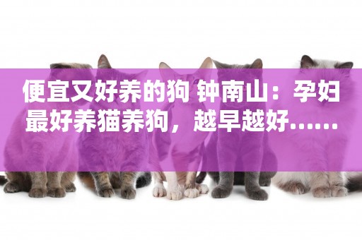 便宜又好養的狗 鐘南山：孕婦最好養貓養狗，越早越好…… 