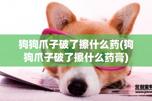 狗狗爪子破了擦什么藥(狗狗爪子破了擦什么藥膏)
