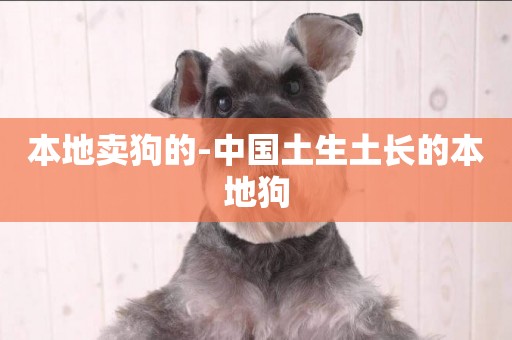 本地賣狗的-中國土生土長的本地狗