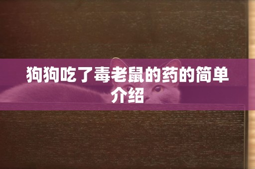 狗狗吃了毒老鼠的藥的簡單介紹