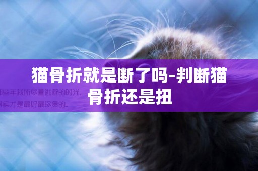 貓骨折就是斷了嗎-判斷貓骨折還是扭