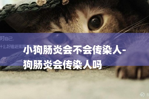 小狗腸炎會不會傳染人-
狗腸炎會傳染人嗎