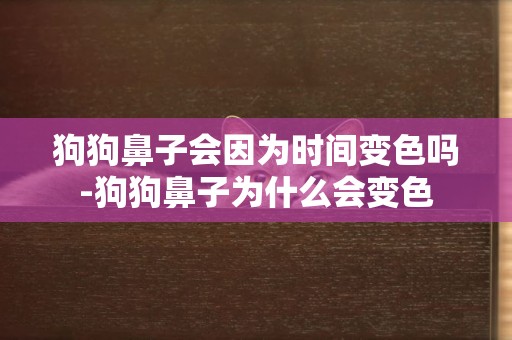 狗狗鼻子會因為時間變色嗎-狗狗鼻子為什么會變色