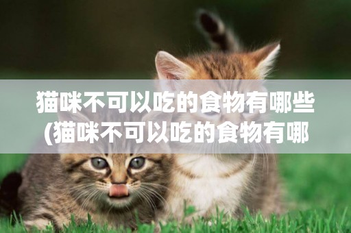 貓咪不可以吃的食物有哪些(貓咪不可以吃的食物有哪些東西)