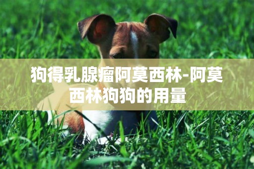 狗得乳腺瘤阿莫西林-阿莫西林狗狗的用量