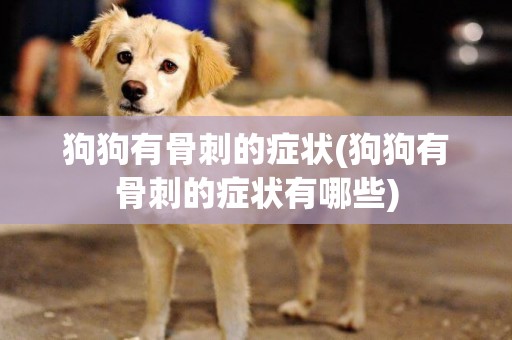 狗狗有骨刺的癥狀(狗狗有骨刺的癥狀有哪些)