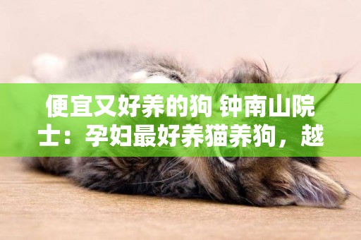 便宜又好養的狗 鐘南山院士：孕婦最好養貓養狗，越早越好！ 