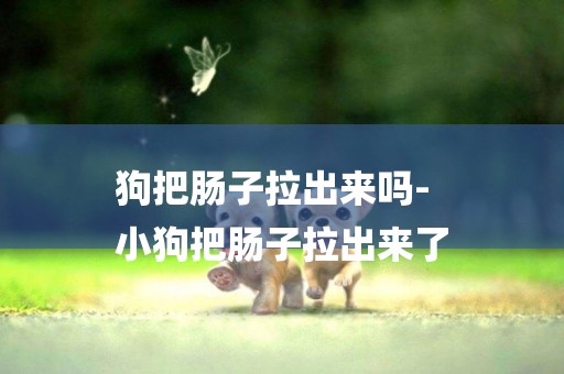 狗把腸子拉出來嗎-
小狗把腸子拉出來了