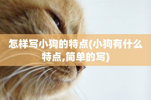 怎樣寫小狗的特點(小狗有什么特點,簡單的寫)