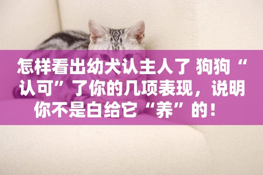 怎樣看出幼犬認主人了 狗狗“認可”了你的幾項表現，說明你不是白給它“養”的！ 