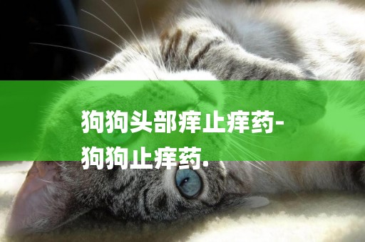 狗狗頭部癢止癢藥-
狗狗止癢藥.