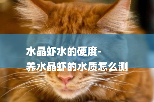 水晶蝦水的硬度-
養水晶蝦的水質怎么測