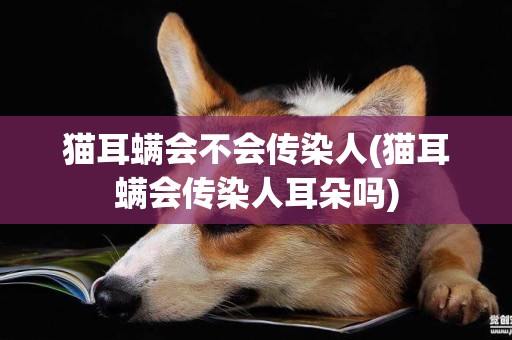 貓耳螨會不會傳染人(貓耳螨會傳染人耳朵嗎)