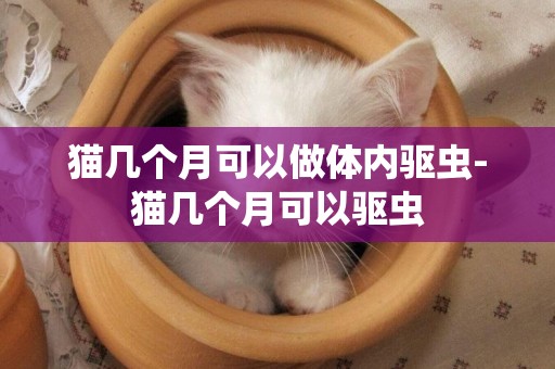 貓幾個月可以做體內驅蟲-貓幾個月可以驅蟲