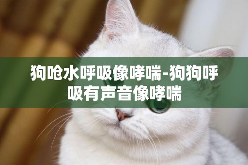 狗嗆水呼吸像哮喘-狗狗呼吸有聲音像哮喘
