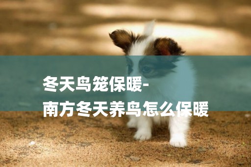 冬天鳥籠保暖-
南方冬天養鳥怎么保暖
