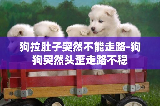 狗拉肚子突然不能走路-狗狗突然頭歪走路不穩