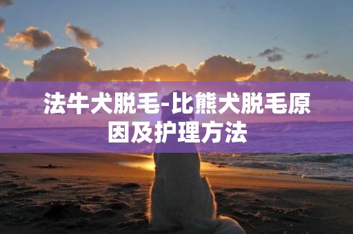 法牛犬脫毛-比熊犬脫毛原因及護理方法