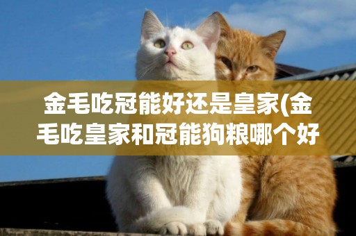 金毛吃冠能好還是皇家(金毛吃皇家和冠能狗糧哪個好)