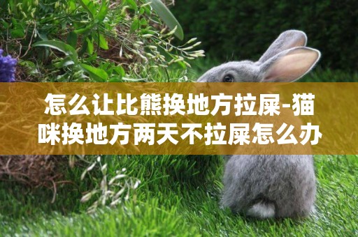 怎么讓比熊換地方拉屎-貓咪換地方兩天不拉屎怎么辦