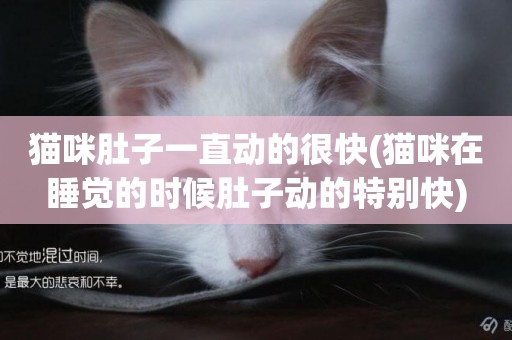 貓咪肚子一直動的很快(貓咪在睡覺的時候肚子動的特別快)