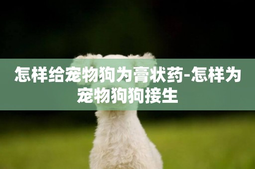 怎樣給寵物狗為膏狀藥-怎樣為寵物狗狗接生