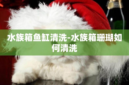 水族箱魚缸清洗-水族箱珊瑚如何清洗