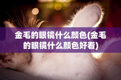 金毛的眼鏡什么顏色(金毛的眼鏡什么顏色好看)