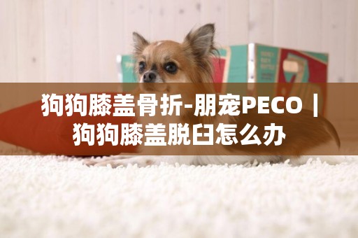 狗狗膝蓋骨折-朋寵PECO｜狗狗膝蓋脫臼怎么辦