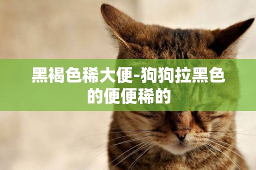 黑褐色稀大便-狗狗拉黑色的便便稀的