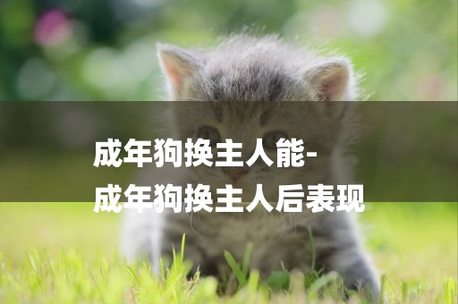 成年狗換主人能-
成年狗換主人后表現