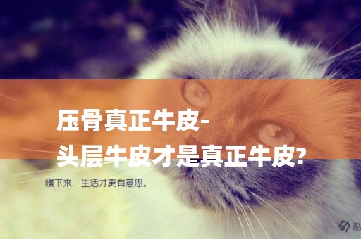 壓骨真正牛皮-
頭層牛皮才是真正牛皮?