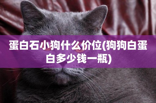 蛋白石小狗什么價位(狗狗白蛋白多少錢一瓶)