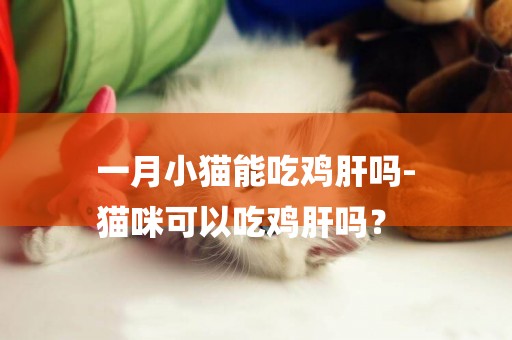 一月小貓能吃雞肝嗎-
貓咪可以吃雞肝嗎？
