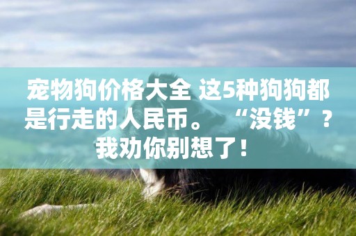 寵物狗價格大全 這5種狗狗都是行走的人民幣。  “沒錢”？ 我勸你別想了！ 