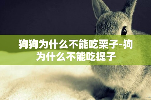 狗狗為什么不能吃栗子-狗為什么不能吃提子