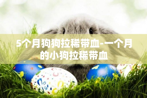 5個月狗狗拉稀帶血-一個月的小狗拉稀帶血