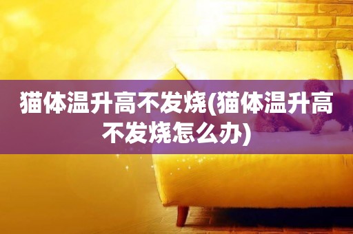 貓體溫升高不發燒(貓體溫升高不發燒怎么辦)