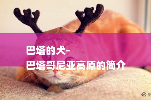 巴塔的犬-
巴塔哥尼亞高原的簡介