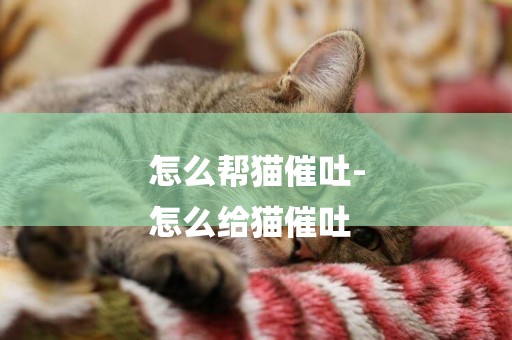 怎么幫貓催吐-
怎么給貓催吐
