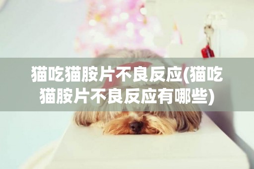 貓吃貓胺片不良反應(貓吃貓胺片不良反應有哪些)