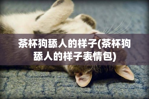 茶杯狗舔人的樣子(茶杯狗舔人的樣子表情包)