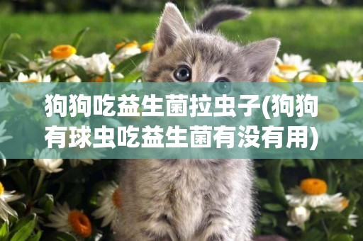 狗狗吃益生菌拉蟲子(狗狗有球蟲吃益生菌有沒有用)