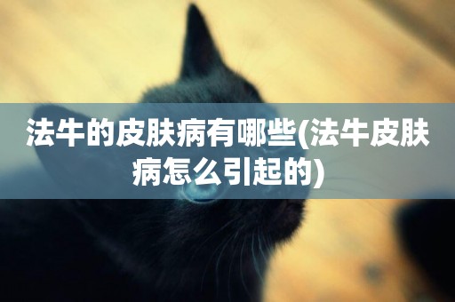 法牛的皮膚病有哪些(法牛皮膚病怎么引起的)
