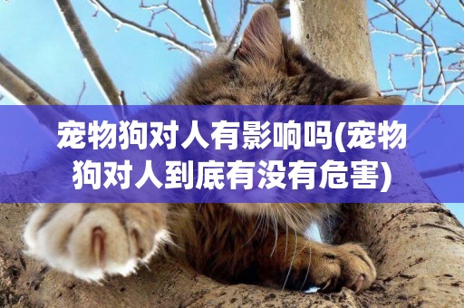 寵物狗對人有影響嗎(寵物狗對人到底有沒有危害)