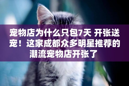 寵物店為什么只包7天 開張送寵！這家成都眾多明星推薦的潮流寵物店開張了 