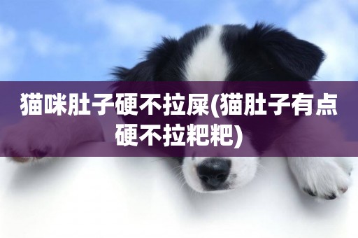 貓咪肚子硬不拉屎(貓肚子有點硬不拉粑粑)
